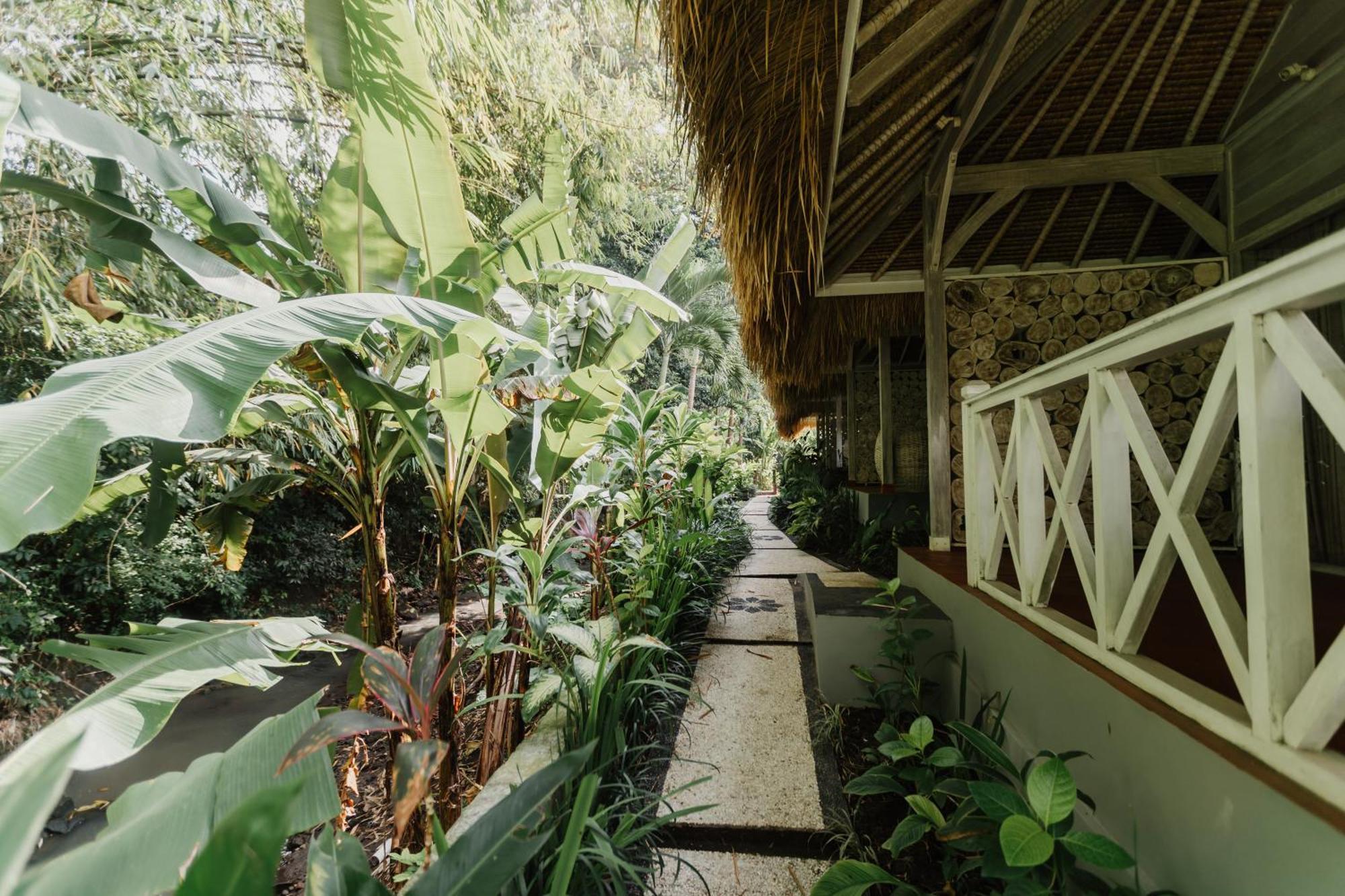 Maylie Bali Villa & Bungalows Canggu  Ngoại thất bức ảnh